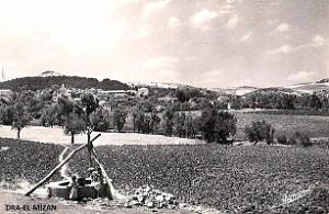 Puits typiques d'AFN - 110